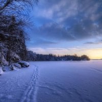 Dawn in a winter field