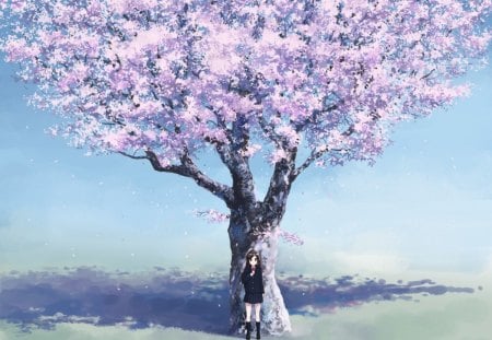 Cherry Blossom Girl - anime, cherry blossom, girl, japan