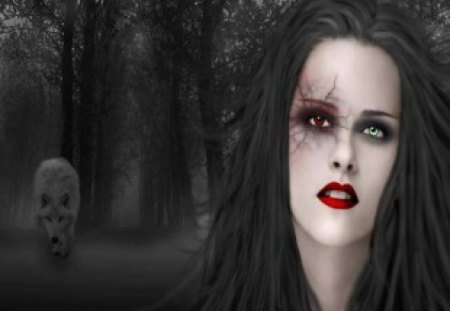 Broken Bella - abstract, fantasy, animal, Bella, wolf, Twilight Saga