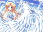 Angel Wings