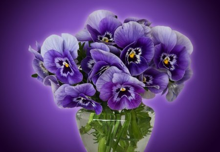 A Vase with Water - nature, purple, bowl, water, flowers, pansies