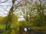 green mud track