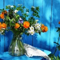 Vase with flowers in blue background