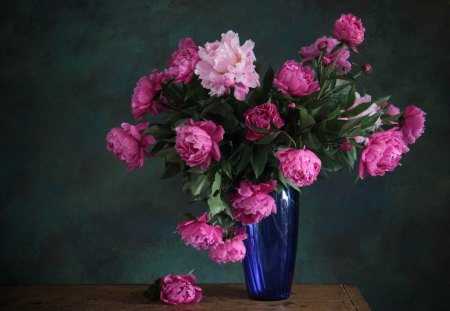 Pink peonies - flower, pink, flowers, spring, vase, still life, blue, peonies, nature, peony