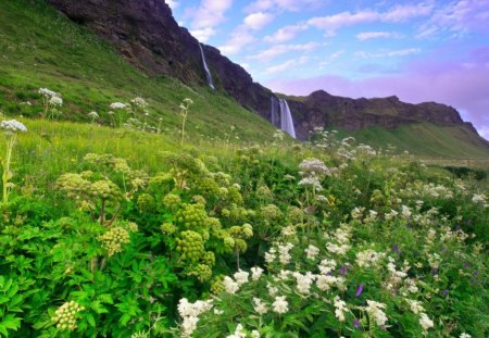 Spring - green, flowers, mountain, spring