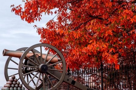 CANNON - gettysburg, autumn, cannon, battlefield