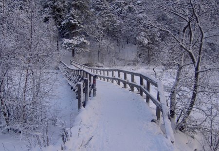 Bridge in Winter - path, trees, snow, landscape