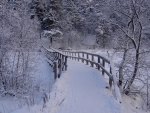 Bridge in Winter