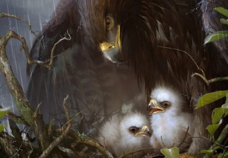 Eagle - art, eagle, wallpaper, other, birds