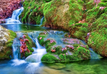 Forest stream - pretty, calm, quiet, cascades, summer, creek, stream, grass, reflection, nice, greenery, water, beautiful, lovely, fall, river, nature, waterfall, green, serenity