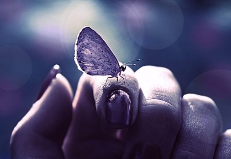 Be free - be free, purple, butterflies, butterfly, hand, woman