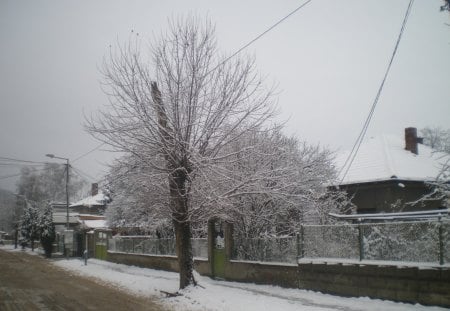 Winter - winter, nature, love, snow