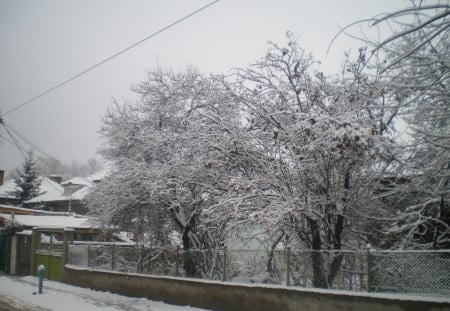 Snow - winter, nature, love, snow