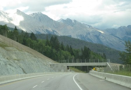 The Rockies mountains in BC - Canada 15 - trees, photography, mountains, road, white, clouds, green, summits, bridges