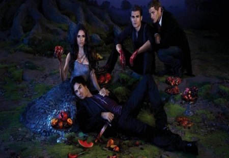 The Vampire Diaries - entertainment, the vampire diaries, tv series, damon, elana, stefan