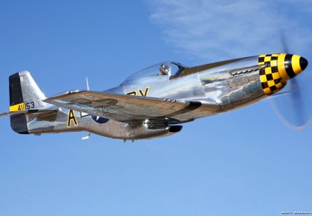 my fav. p-51 - 5, p, 1, m