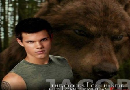 Jacob  Eclipse - Twilight Sagas, wolf, Eclipse, movies, entertainment, Jacob Black