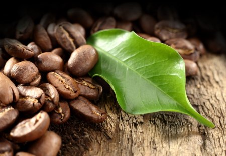 *** Coffee beans *** - fresh, brown, coffee, beans, food