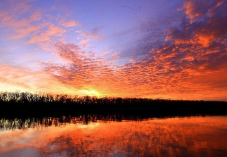 January Blaze - silhouette, lake, blaze, nature