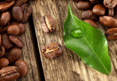 *** Coffee beans *** - fresh, nature, beans, coffee, food