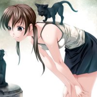 Want a Kitty Ride
