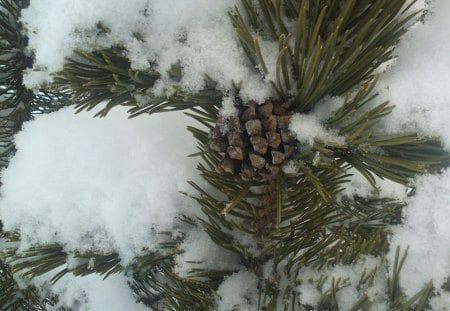 winter... - winter, mountain, snow, natura