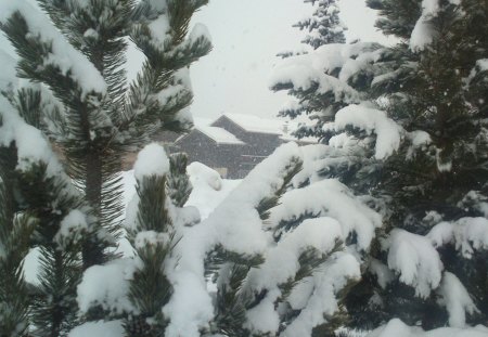 natural image in winter... - snow, natura, winter, mountain