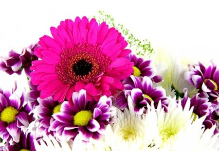 Mix of fresh flowers - red, purple, pretty, beautiful, flowers, bouquet, delight, mix, fresh, freshness, gerberas, nice, lovely, daisies, nature, colorful