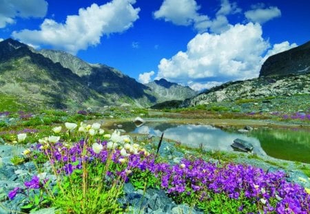 Mountain pond - greenery, clouds, summer, pond, beautiful, prety, lovely, mountain, stones, flowers, colorful, nature, lake, nice, sky, rocks