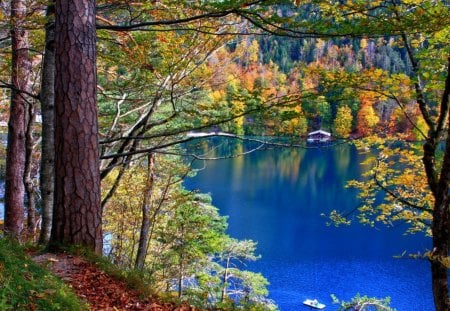 *** GERMANY - Schwangau Bavaria *** - nature, lakes, autumn, trees, blue, color