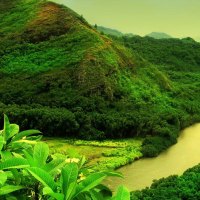 River and mountain forest