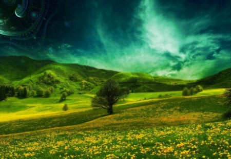 scenery with green hills and yellow flowers - hills, grass, yellow, flower