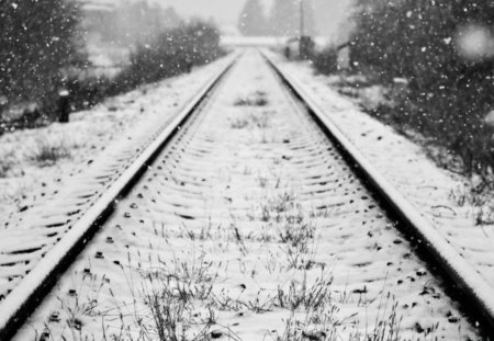 Snow on the railway - snow, winter, railroad, tree