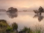 lake in a misty morning