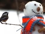 Tit and snowman