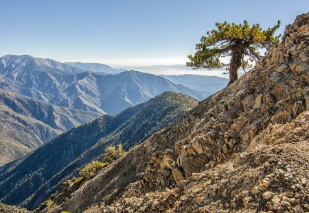 lone tree on barren mountain range hdr - barren, tree, mountains, hdr