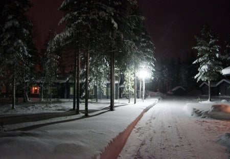 *** FINLAND - Winter in Lapland *** - lit, trees, winter, nature, snow