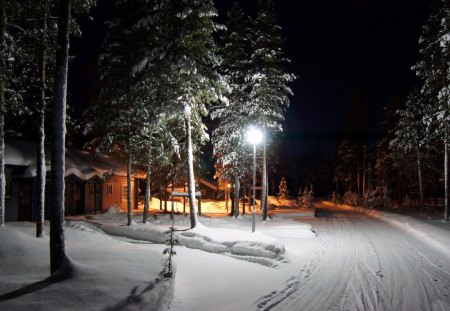 *** FINLAND - Winter in Lapland *** - nature, trees, snow, winter, lit