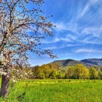 mountain scenery