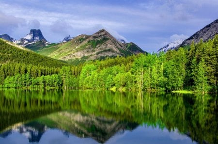 LAKE in REFLECTION - clouds, trees, National Park, reflection, Alberta, Canada, lake, mountains, sky, Calgary