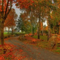 Bright autumn park