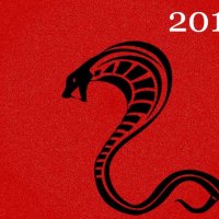 Happy New Year!