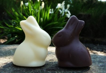 sweet â¥ - rabbits, nice, sweet, chocolate