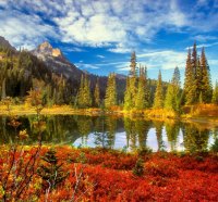 Fall In The Tatoosh Wilderness  Mount Rainier National Park  Washington
