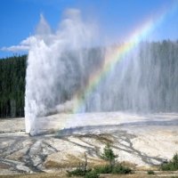 Yellowstone National Park  Wyoming