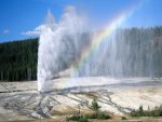 Yellowstone National Park  Wyoming