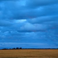 Blue Clouds over Wheat Field