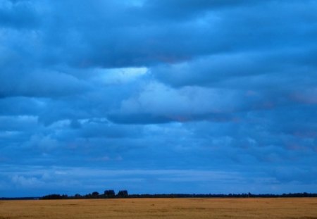 Blue Clouds over Wheat Field - sky, wheat, clouds, blue, summer, field, photograph