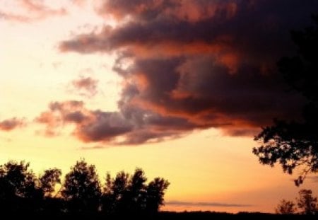 Setting Sun - photograph, clouds, trees, sunset, summer, evening, sky