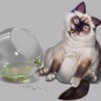 cat dinner